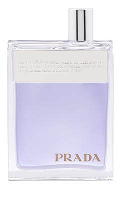 prada purple cologne